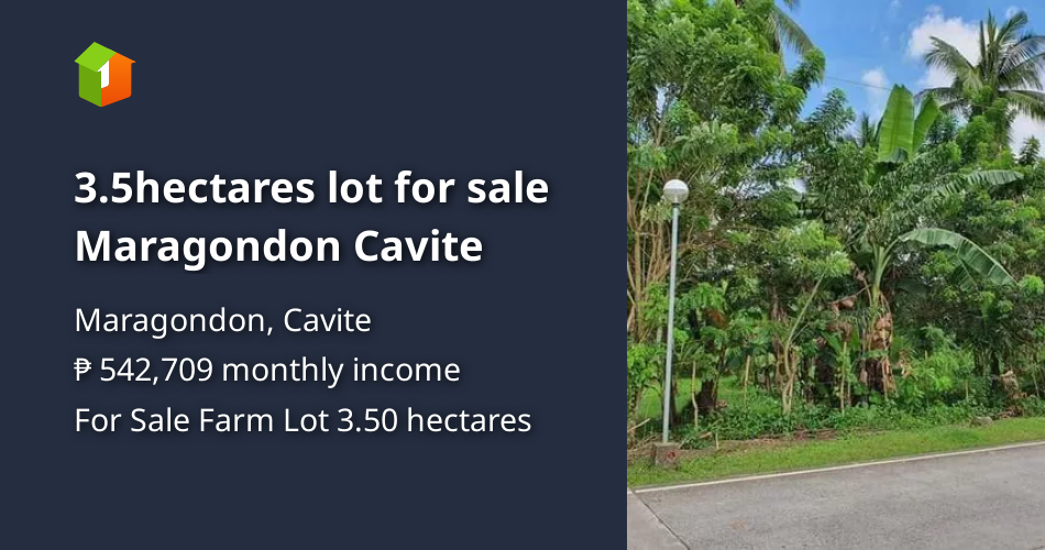 3.5hectares lot for sale Maragondon Cavite [Lot 🚜] (September 2020) in