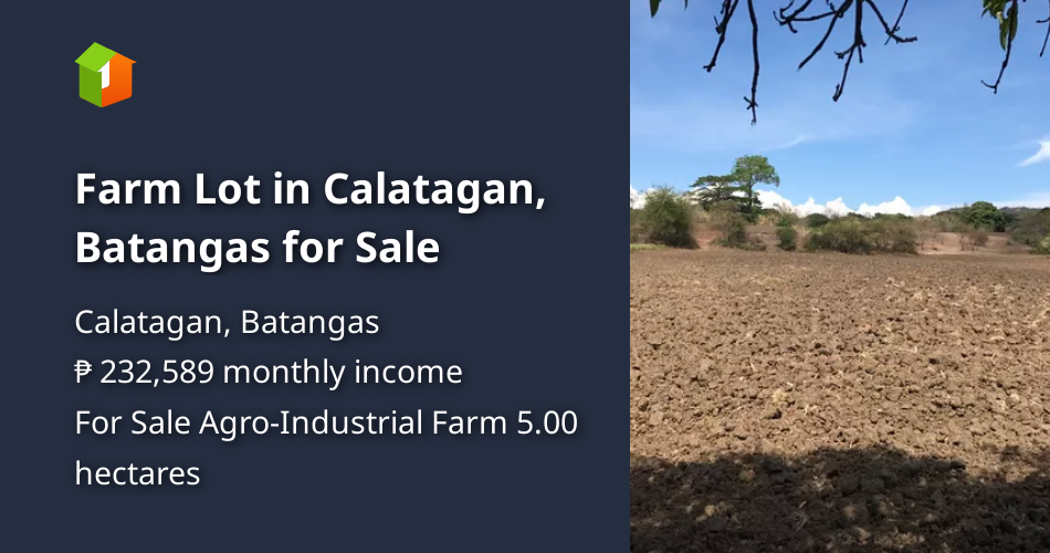 Farm Lot in Calatagan, Batangas for Sale [Lot 🚜] (October 2022) in