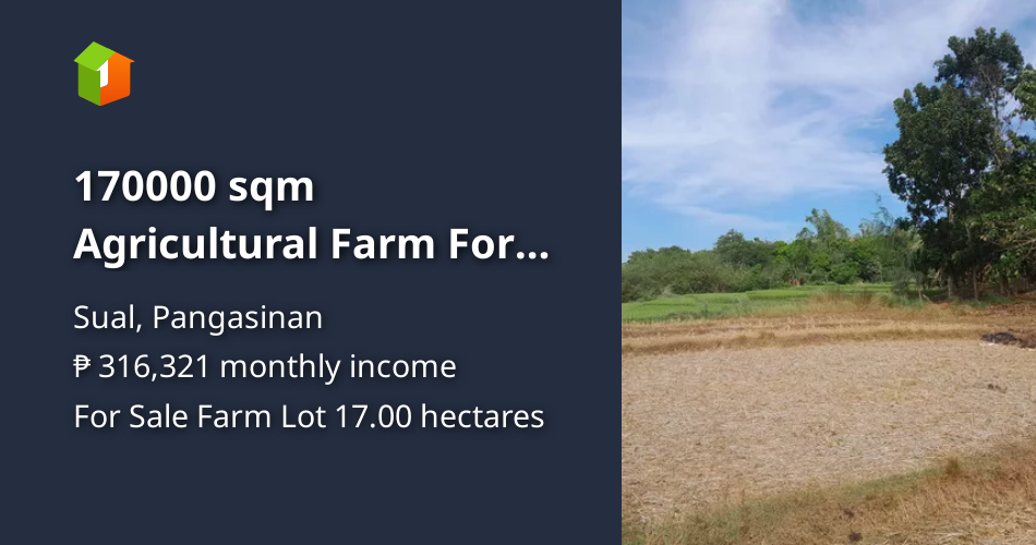 170000 sqm Agricultural Farm For Sale in Sual Pangasinan [Lot 🚜