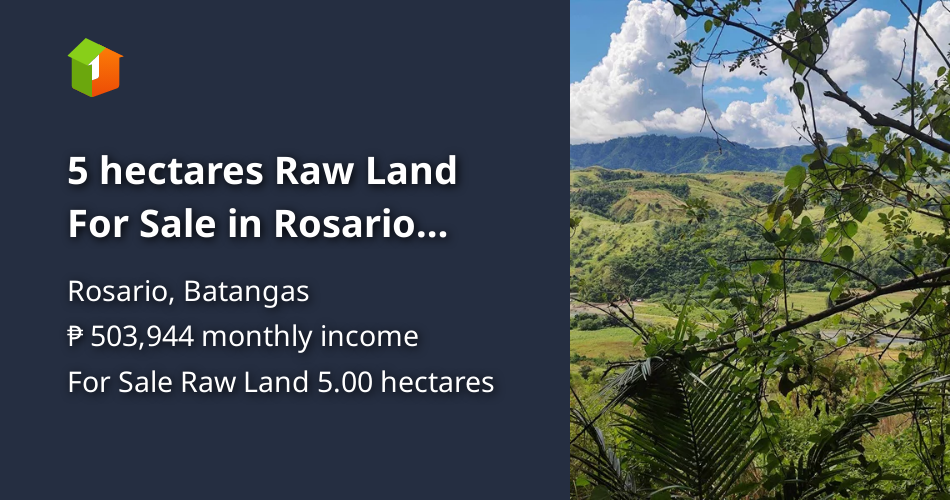 5 hectares Raw Land For Sale in Rosario Batangas [Lot 🚜] (September