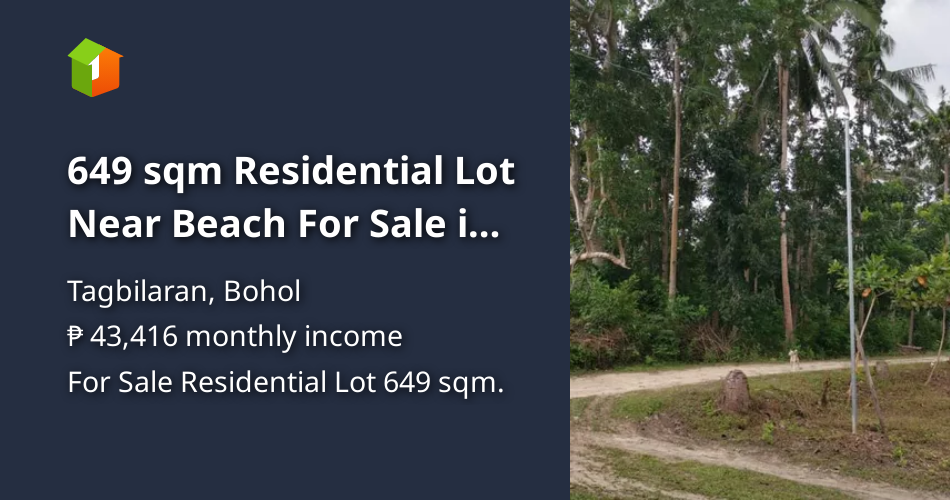 649 sqm Residential Lot Near Beach For Sale in alburquerque Bohol [Lot