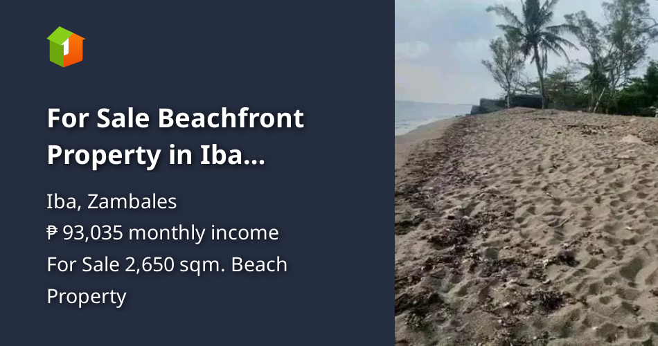 For Sale Beachfront Property in Iba Zambales [Beach Properties 🏖️