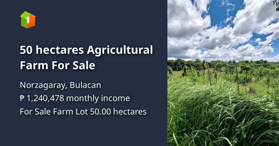 50 hectares Agricultural Farm For Sale [Lot 🚜] (September 2023) in