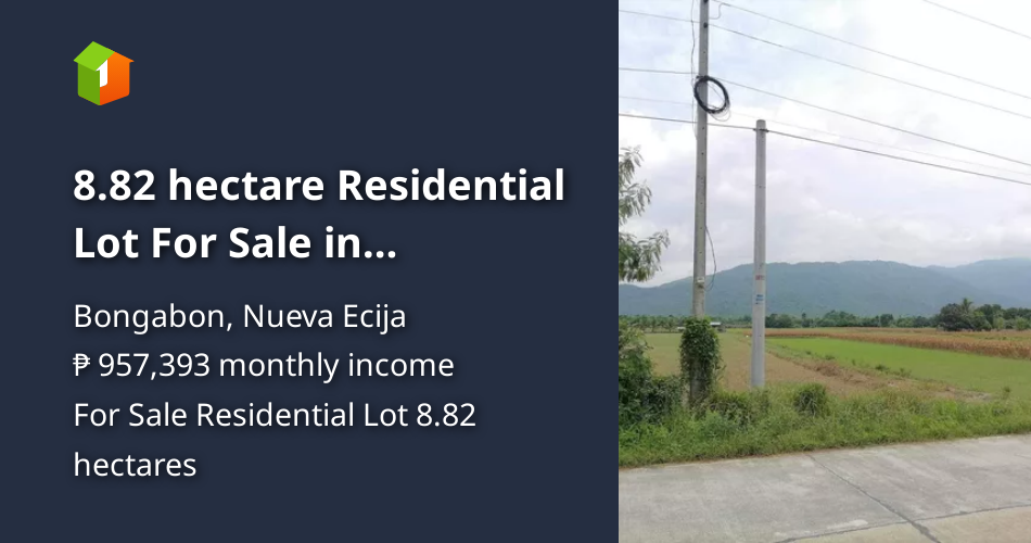 8.82 hectare Residential Lot For Sale in Bongabon Nueva Ecija [Lot 🚜