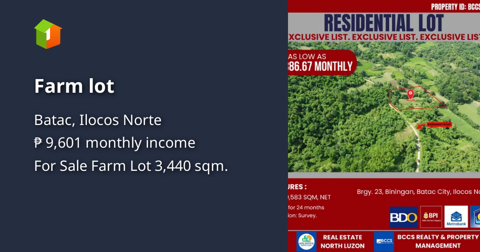 Farm lot [Lot 🚜] (April 2024) in Batac, Ilocos Norte for sale