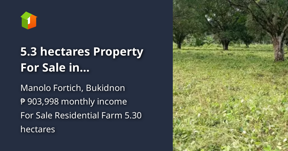 5.3 hectares Property For Sale in Mambatangan, Manolo Fortich Bukidnon