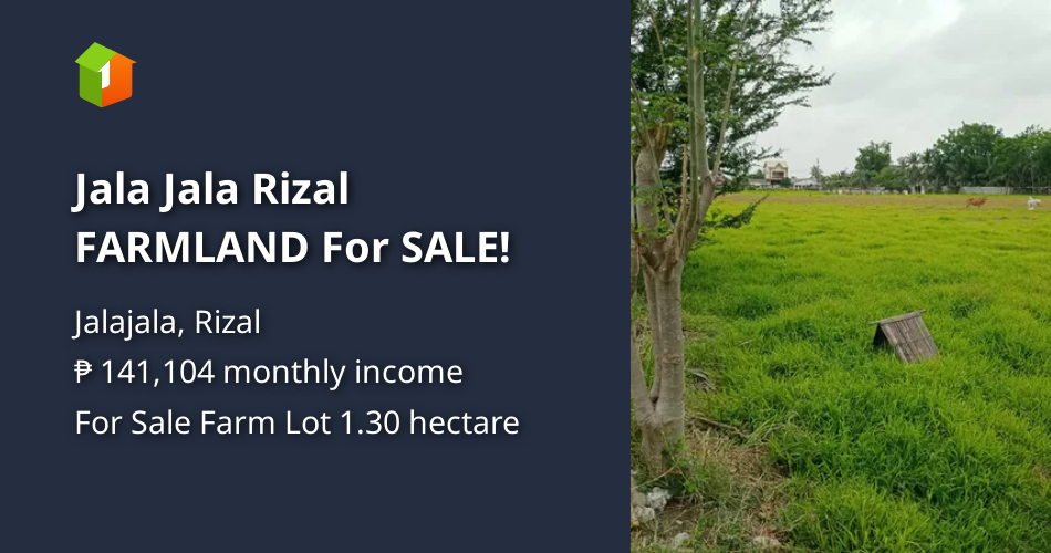 Jala Jala Rizal FARMLAND For SALE! [Lot 🚜] (June 2021) in Jalajala