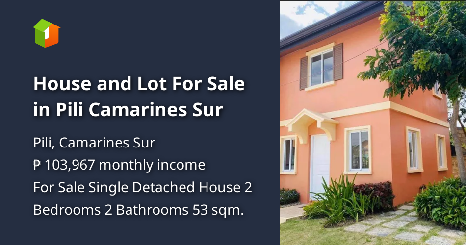 House and Lot For Sale in Pili Camarines Sur [House and Lot 🏘️] (March