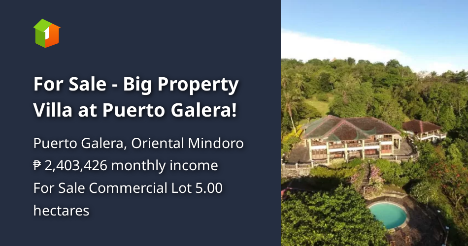 For Sale Big Property Villa at Puerto Galera! [Lot 🚜] (September 2021
