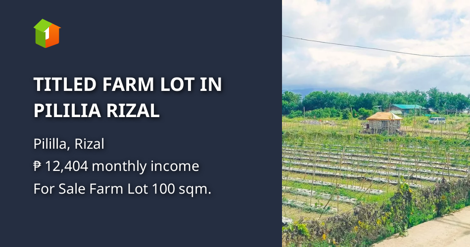 TITLED FARM LOT IN PILILIA RIZAL [Lots 🚜] (August 2024) in Pililla ...