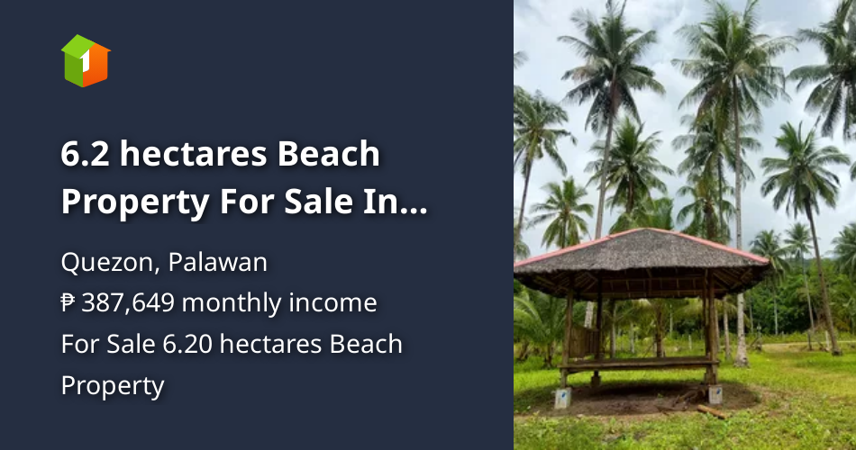 6.2 hectares Beach Property For Sale In Berong Quezon Palawan [Beach ...