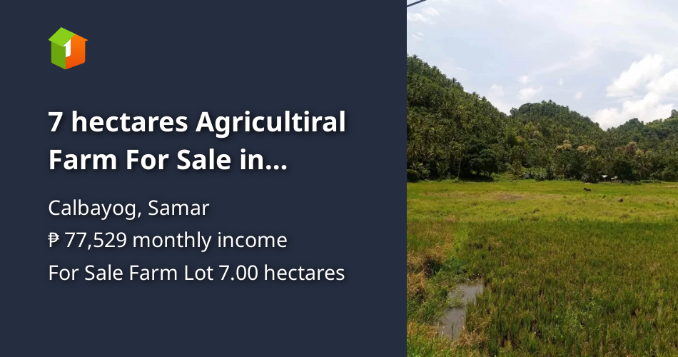 7 hectares Agricultiral Farm For Sale in Calbayog Samar [Lots 🚜] (June ...