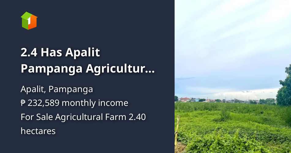 2.4 Has Apalit Pampanga Agricultural Land for Sale ! [Lot 🚜] (April ...