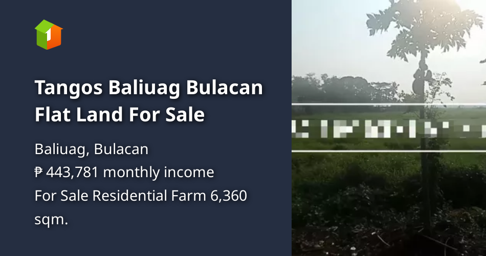Tangos Baliuag Bulacan Flat Land For Sale [Lot 🚜] (August 2024) in