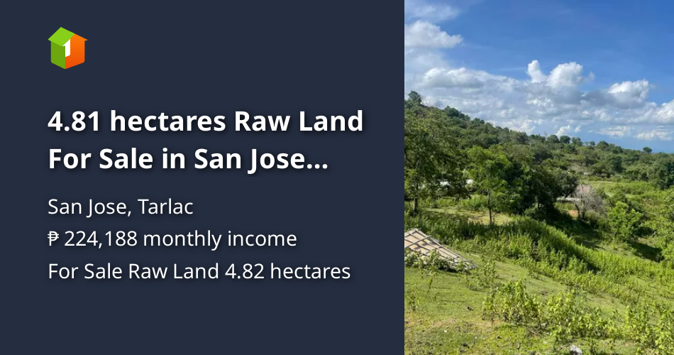 4.81 hectares Raw Land For Sale in San Jose Tarlac [Lot 🚜] (June 2024