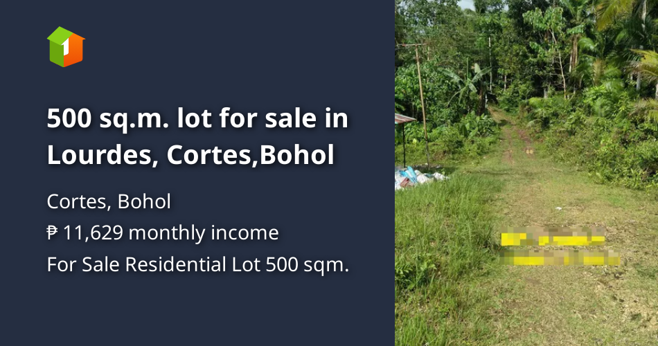 854 sq.m. lot for sale in Lourdes, Cortes,Bohol [Lots 🚜] (October 2024