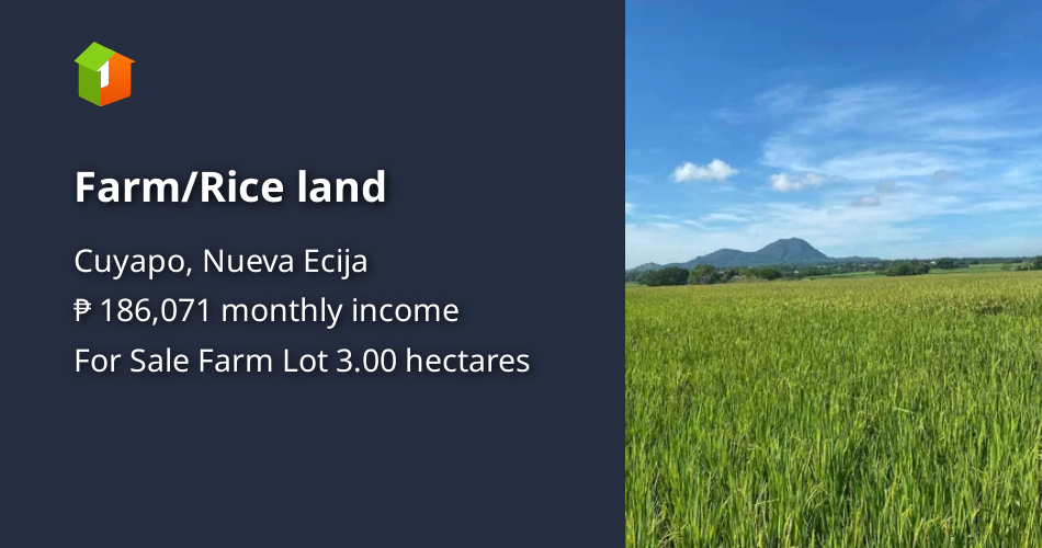 Farm/Rice land [Lot 🚜] (January 2022) in Cuyapo, Nueva Ecija for sale FSBO / For Sale by Owner