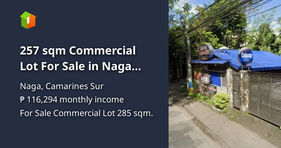 257 sqm Commercial Lot For Sale in Naga Camarines Sur [Lot 🚜] (December