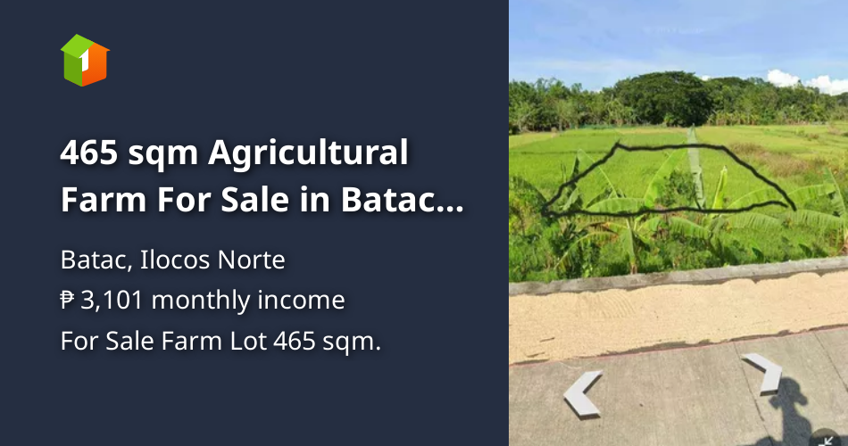 465 sqm Agricultural Farm For Sale in Batac Ilocos Norte [Lots 🚜