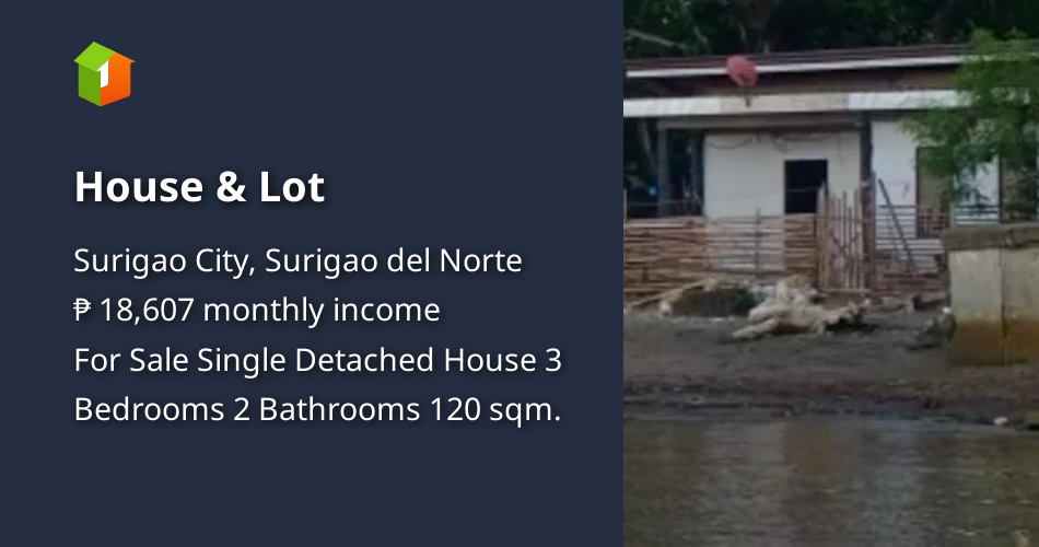 House & Lot [House and Lot 🏘️] (January 2023) in Surigao City, Surigao