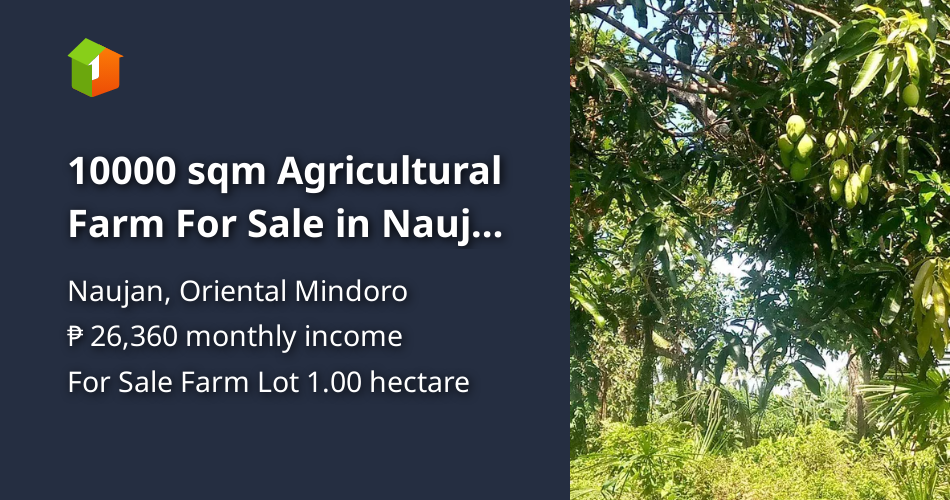 10000 sqm Agricultural Farm For Sale in Naujan Oriental Mindoro [Lot 🚜