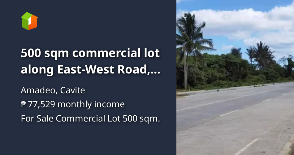 500 sqm commercial lot along EastWest Road, Halang Amadeo Cavite [Lot