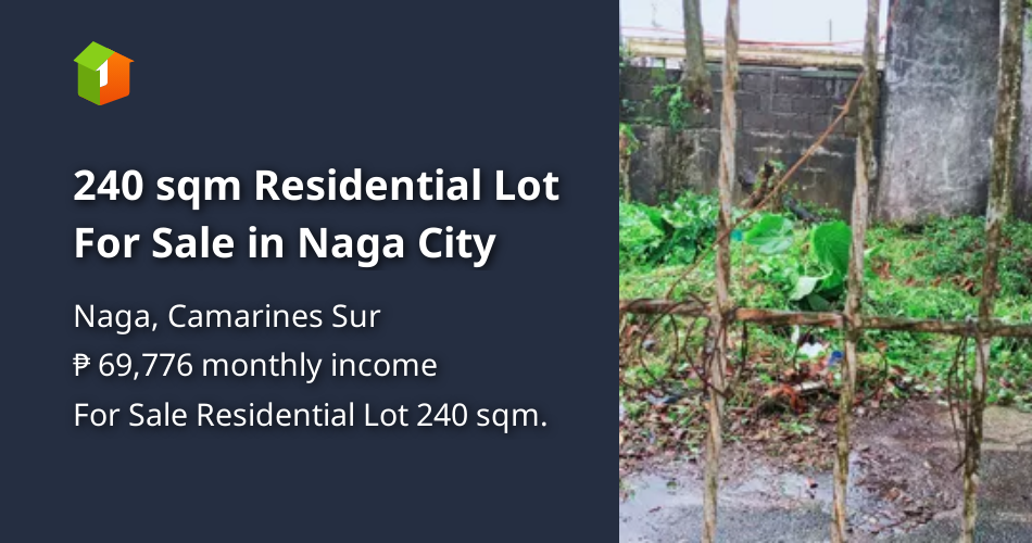 240 sqm Residential Lot For Sale in Naga City [Lot 🚜] (May 2023) in