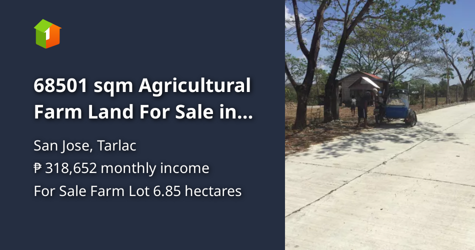 68501 sqm Agricultural Farm Land For Sale in San Jose Tarlac [Lot 🚜