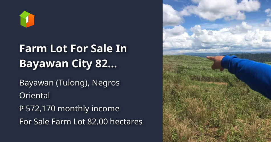 Farm Lot For Sale In Bayawan City 82 hectares [Lot 🚜] (July 2024) in