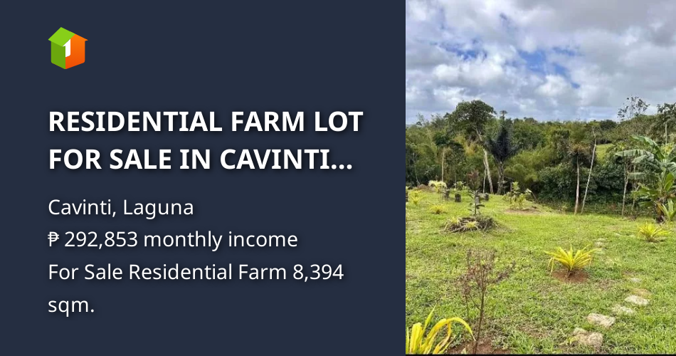 RESIDENTIAL FARM LOT FOR SALE IN CAVINTI LAGUNA [Lot 🚜] (September 2024
