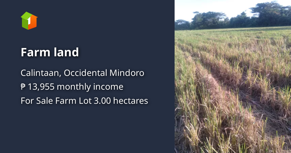 Farm land [Lot 🚜] (October 2023) in Calintaan, Occidental Mindoro for sale