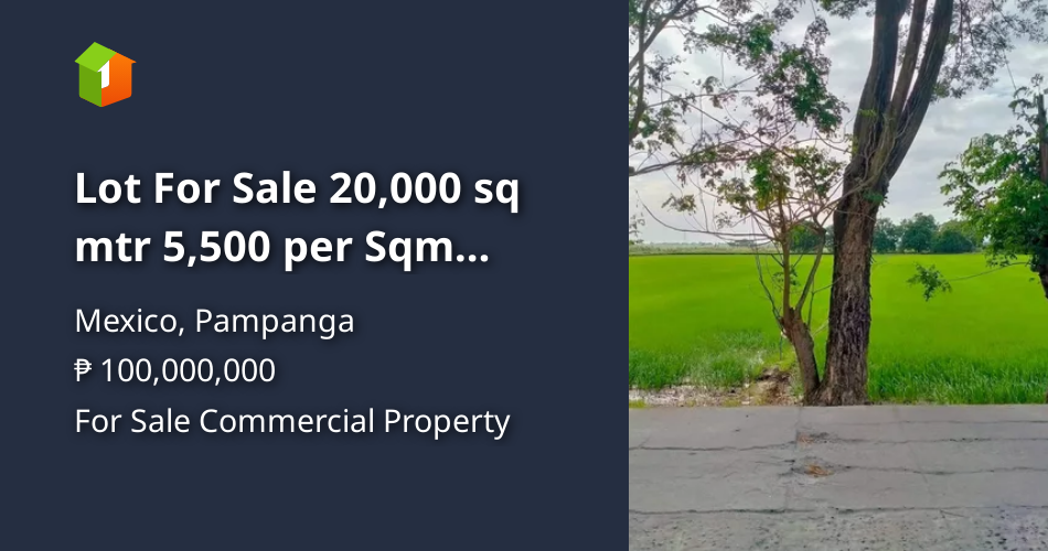 Lot For Sale 20,000 sq mtr 5,500 per Sqm mexico pampanga