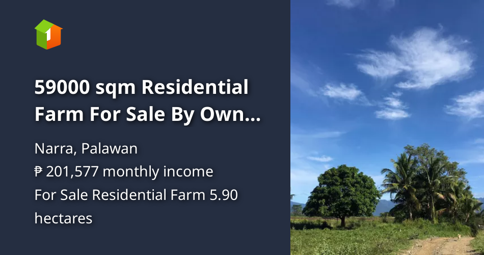 59000 sqm Residential Farm For Sale By Owner in Narra Palawan [Lot 🚜
