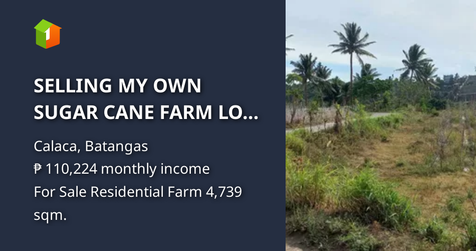 SELLING MY OWN SUGAR CANE FARM LOT IN CALACA BATANGAS 4,739 Sqm [Lot 🚜
