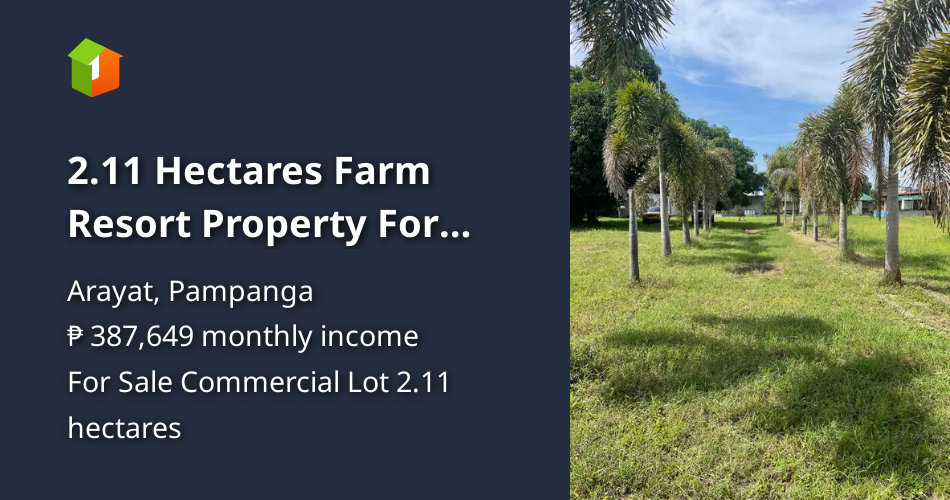 2.11 Hectares Farm Resort Property For Sale Arayat Pampanga [Lot 🚜] (August 2024) in Arayat