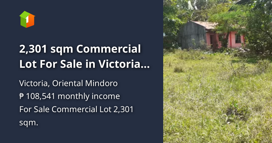 2,301 sqm Commercial Lot For Sale in Victoria Oriental Mindoro [Lot 🚜