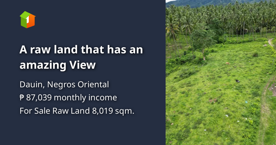 A raw land that has an amazing View [Lot 🚜] (April 2024) in Dauin