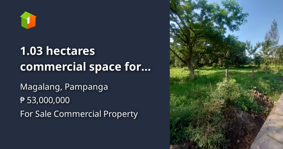 1.03 hectares commercial space for sale in magalang pampanga