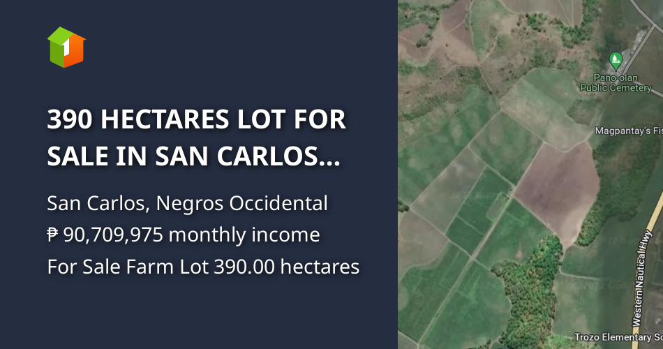 390 HECTARES LOT FOR SALE IN SAN CARLOS CITY, NEGROS OCCIDENTAL [Lot 🚜