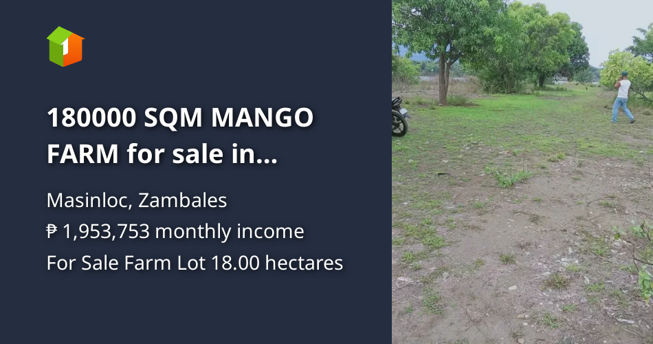 180000 SQM MANGO FARM for sale in MASINLOC ZAMBALES [Lot 🚜] (July 2024