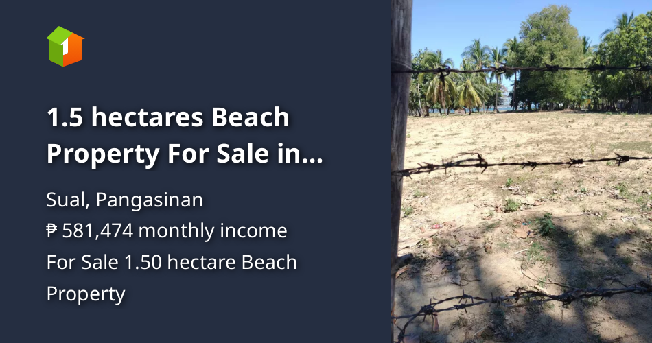 1.5 hectares Beach Property For Sale in Sual Pangasinan [Beach Property
