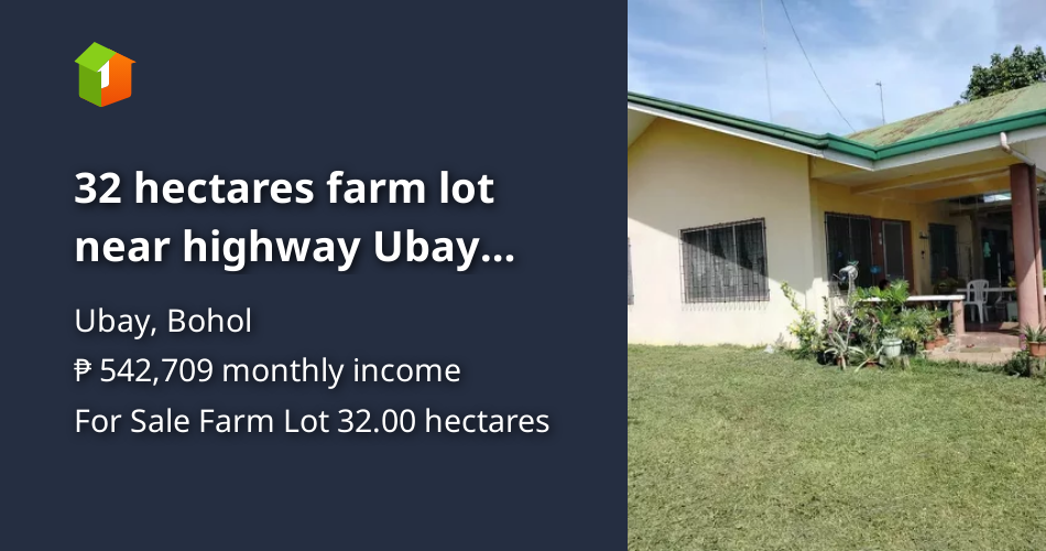 32 hectares farm lot near highway Ubay Bohol 35m negotiable [Lot 🚜
