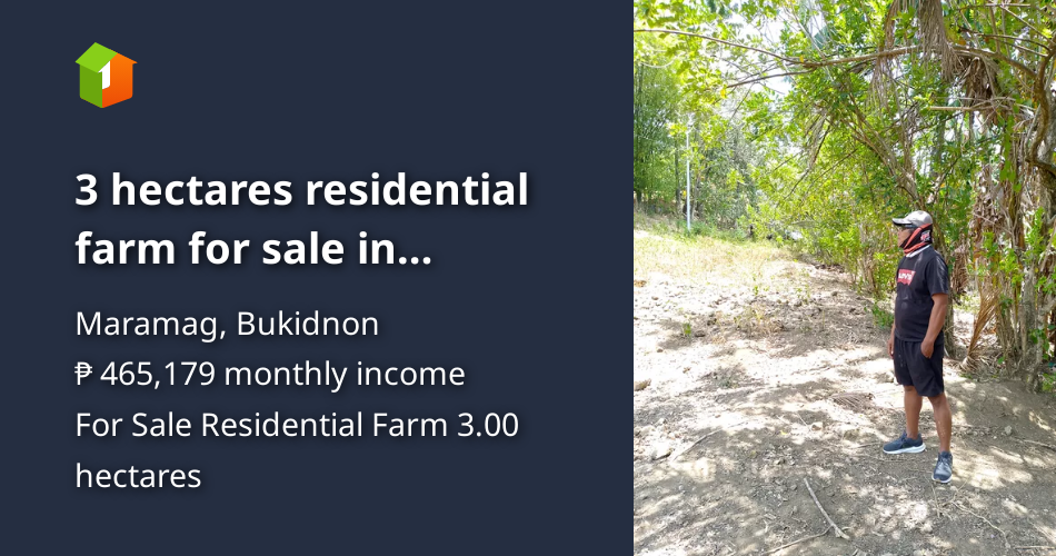 3 hectares residential farm for sale in Maramag [Lot 🚜] (June 2024) in