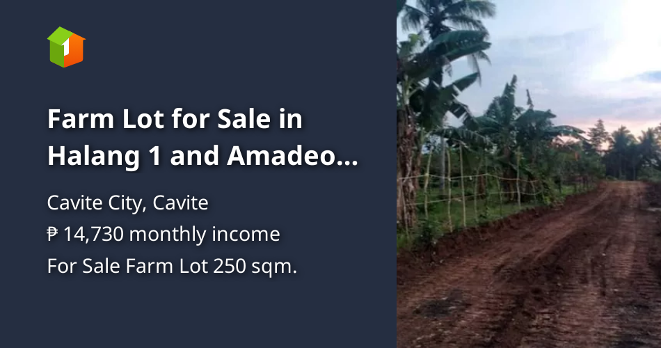 Farm Lot for Sale in Halang 1 and Amadeo Cavite [Lot 🚜] (June 2021) in