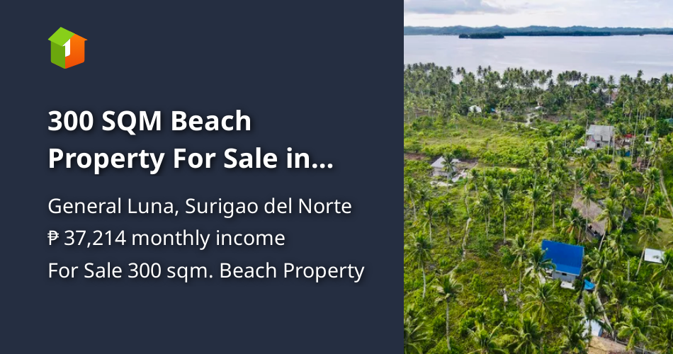 300 SQM Beach Property For Sale in General Luna Siargao [Beach Property