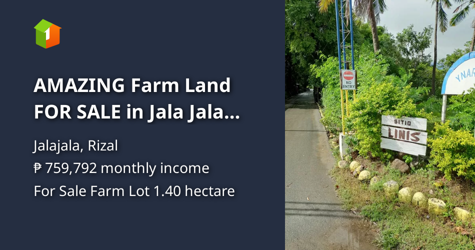 AMAZING Farm Land FOR SALE in Jala Jala Rizal [Lot 🚜] (February 2024