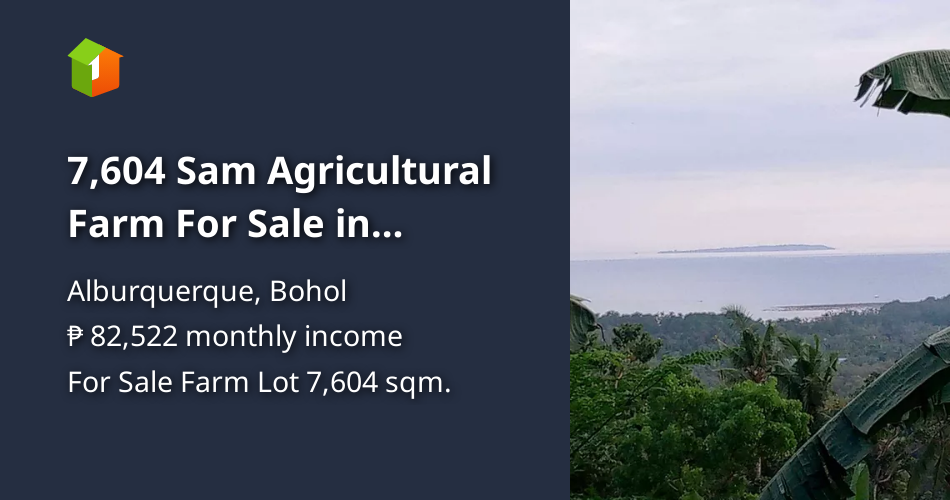 7,604 Sam Agricultural Farm For Sale in Tagbuane Alburquerque Bohol ...