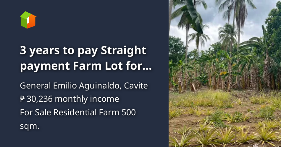 3 years to pay Straight payment Farm Lot for sale in Bailen Cavite [Lot ...