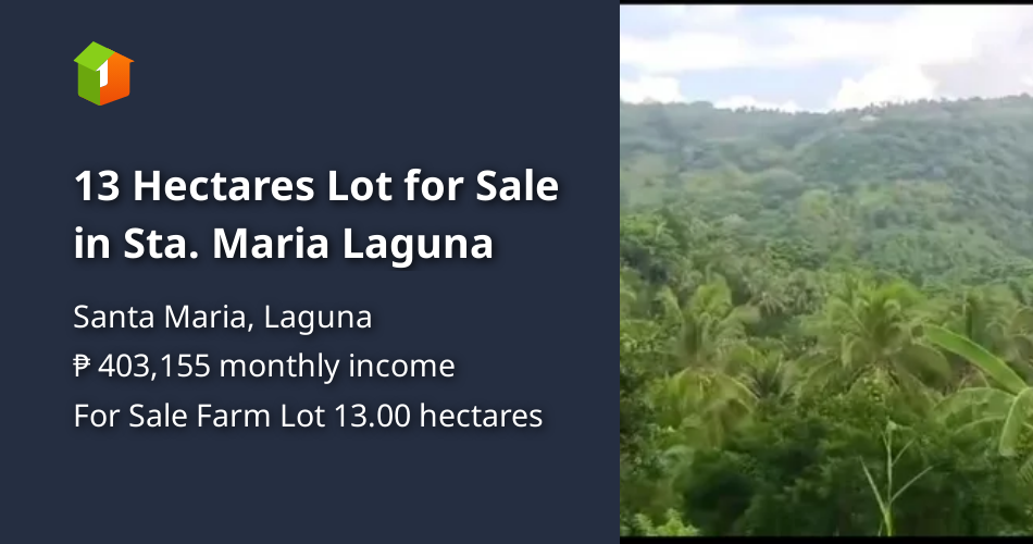 13 Hectares Lot for Sale in Sta. Maria Laguna [Lot 🚜] (October 2023) in