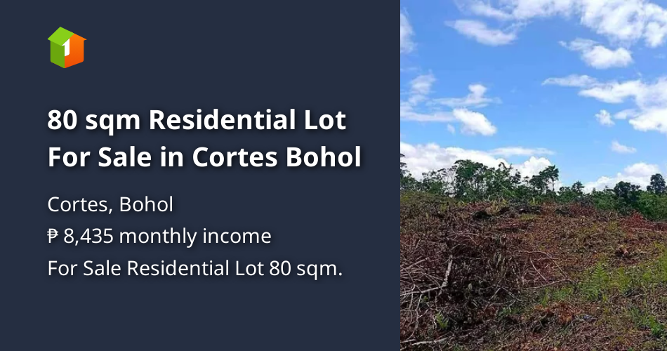 80 sqm Residential Lot For Sale in Cortes Bohol [Lot 🚜] (May 2024) in